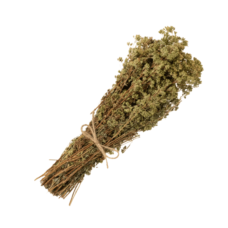 Oregano greckie suszone - gałązki
